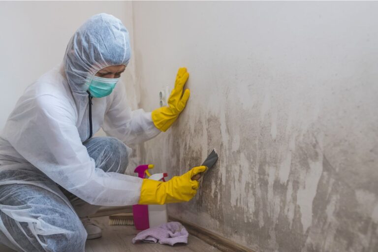 How to Remove Mold From Walls Safely